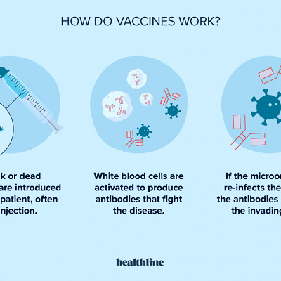 Everything You Need to Know About Vaccinations